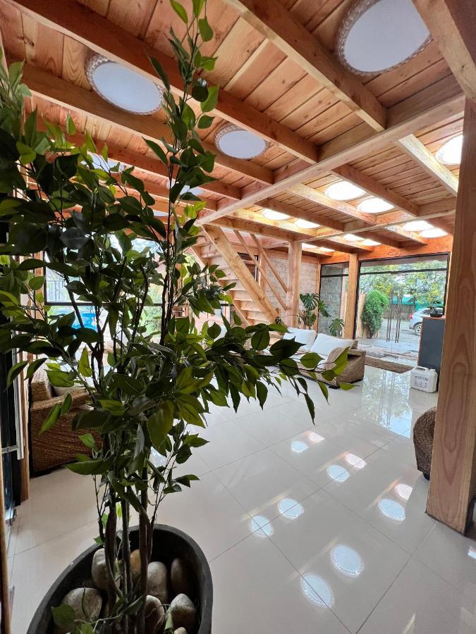 Hotel Boutique Family Suites Panguipulli Exterior foto